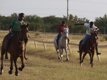 barbuda-horse-racing-04