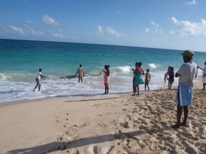 a whale beaches at River