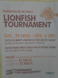 lionfish tournament